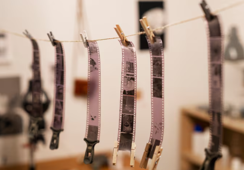 79534e132d5c50731e1f3692b46d649bb397f910